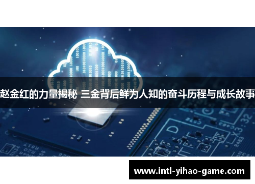 赵金红的力量揭秘 三金背后鲜为人知的奋斗历程与成长故事