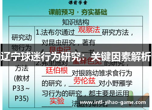 辽宁球迷行为研究:关键因素解析 辽宁球迷行为研究:关键因素解析